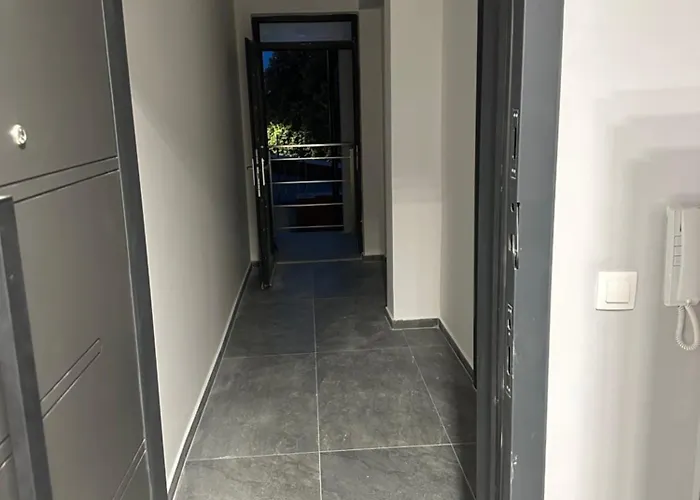 - весела улица * ソゾポル